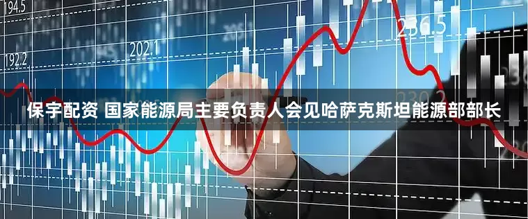 保宇配资 国家能源局主要负责人会见哈萨克斯坦能源部部长